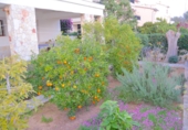 Chalet independiente con terreno en venta en Palma ref: TR102915 foto