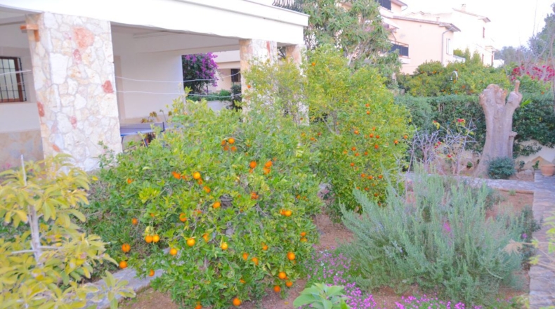 Islas Baleares - Palma - 530m2