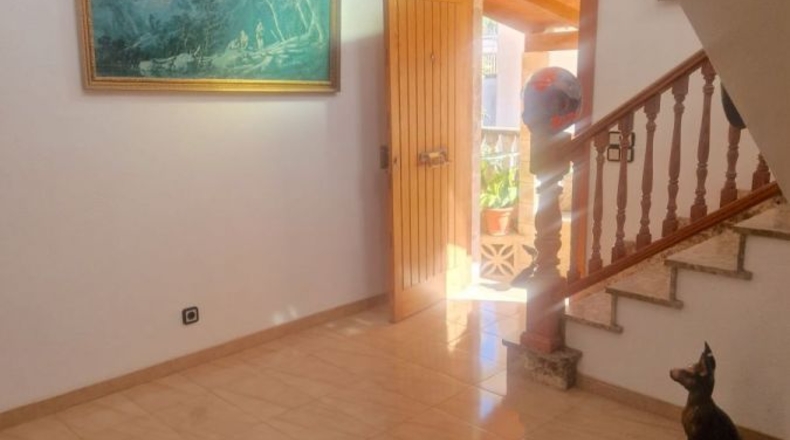 Balearic Islands - Cala Blava - 600m2