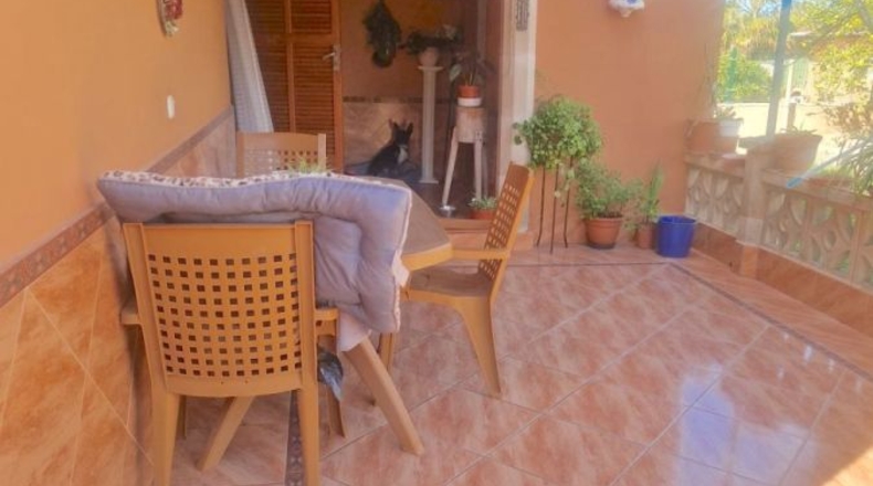 Balearic Islands - Cala Blava - 600m2