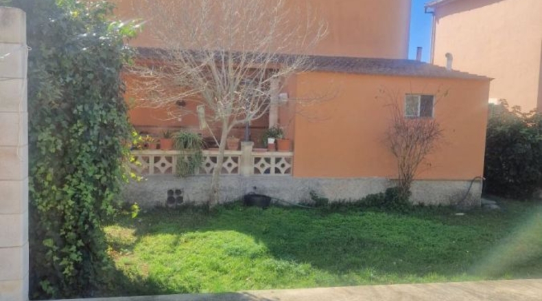Balearic Islands - Cala Blava - 600m2