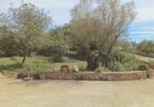 Chalet independiente con terreno en venta en Manacor ref: TR105244 foto