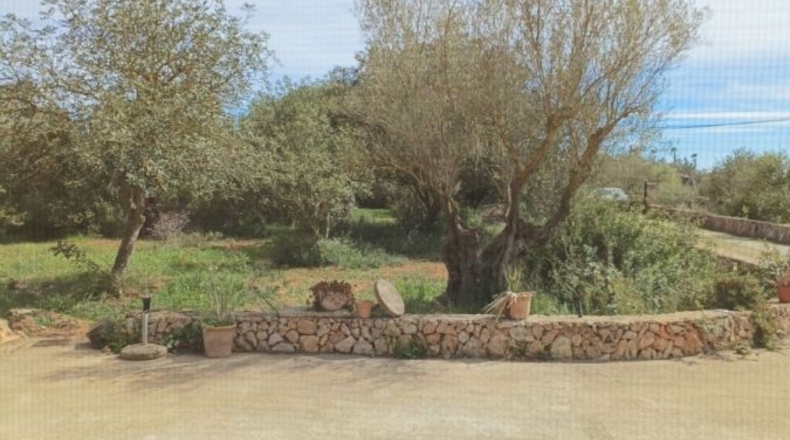 Islas Baleares - Manacor - 7281m2