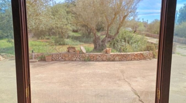 Islas Baleares - Manacor - 7281m2