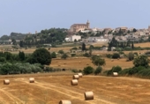 Non-developable land for sale in Santa Margalida ref: TR109460 photo