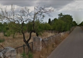 Non-developable land for sale in Santa Margalida ref: TR109460 photo