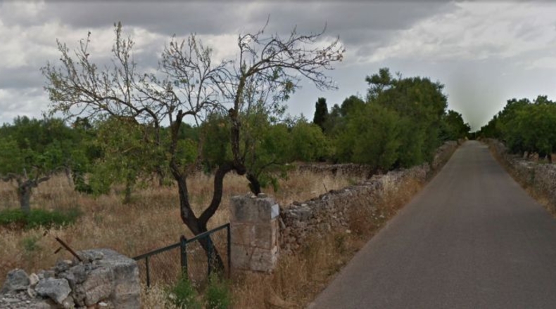 Balearic Islands - Santa Margarita - 14125m2