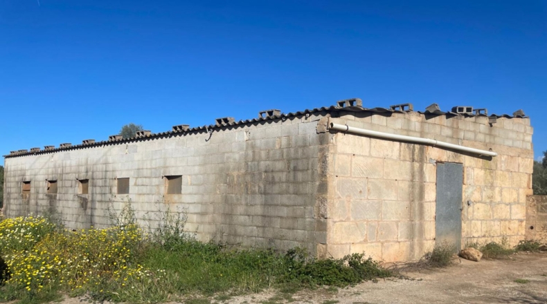 Illes Balears - Sineu - 3800m2