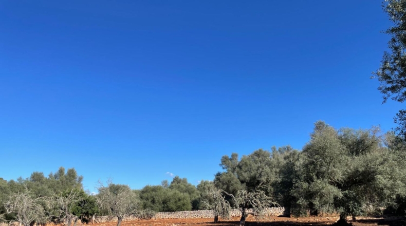 Illes Balears - Sineu - 3800m2