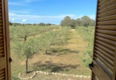 Rural estate for sale in Inca ref: TR200375 photo
