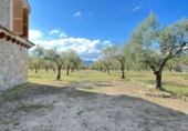 Rural estate for sale in Inca ref: TR200375 photo