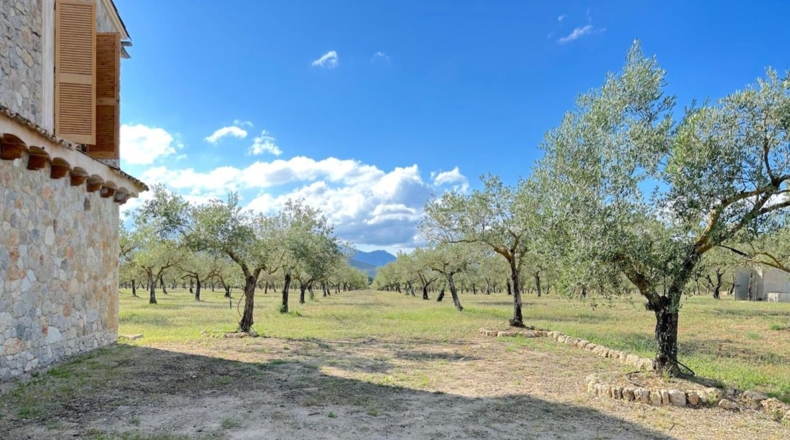 Islas Baleares - Inca - 78756m2