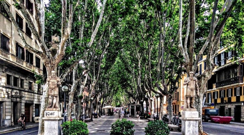 Islas Baleares - Palma - 80m2