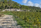 Finca rústica en venta en Montuïri ref: TR183468 foto