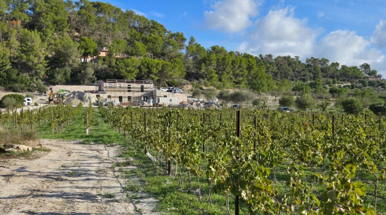 Islas Baleares - Algaida - 15954m2