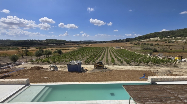 Islas Baleares - Algaida - 15954m2