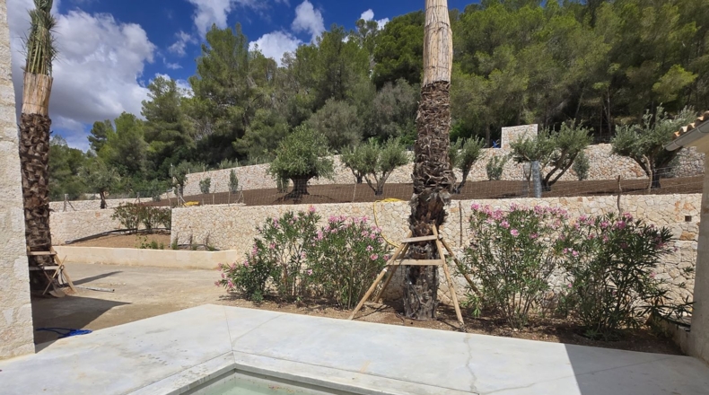Islas Baleares - Algaida - 15954m2