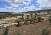 Finca rústica en venta en Montuïri ref: TR183468 foto