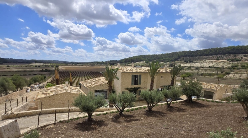 Islas Baleares - Algaida - 15954m2