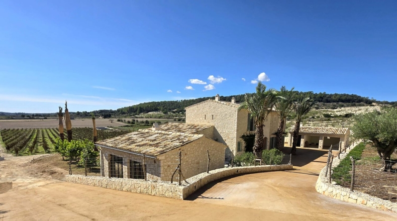 Islas Baleares - Algaida - 15954m2
