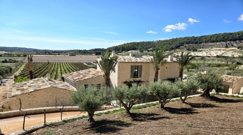 Islas Baleares - Algaida - 15954m2