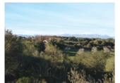 Finca rústica en venda a Lloret de Vistalegre ref.: TR234836 foto