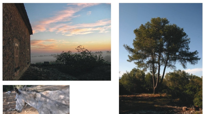 Illes Balears - Lloret de Vistalegre - 759132m2