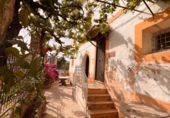 Chalet independiente con terreno en venta en Palma ref: TR234835 foto