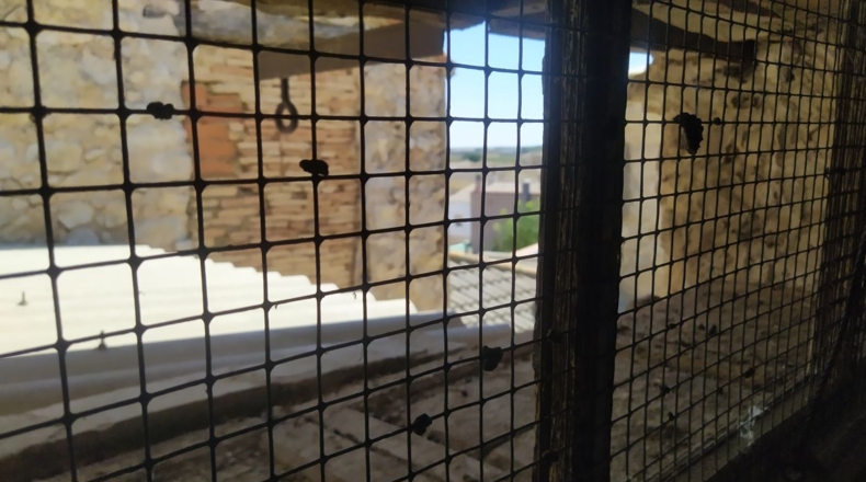 Albacete - Mahora - 560m2