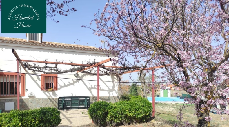 Albacete - Motilleja - 14000m2