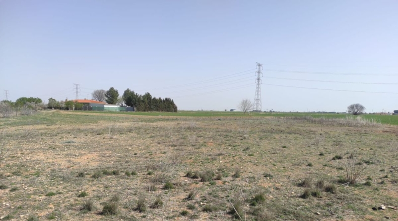 Albacete - Motilleja - 14000m2