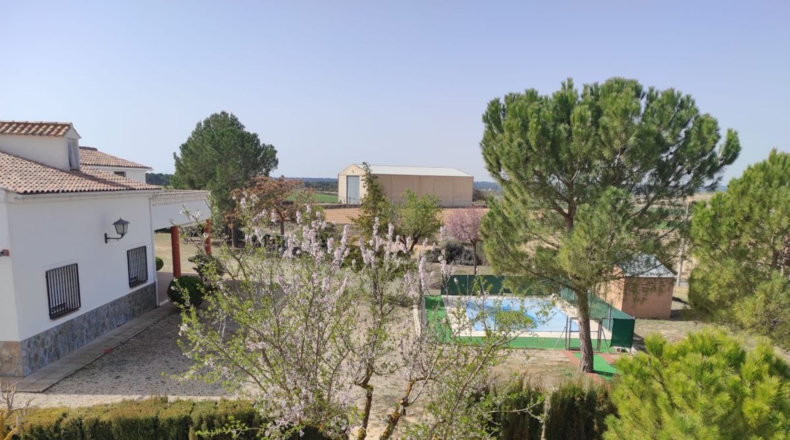 Albacete - Motilleja - 14000m2