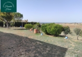 Finca rústica en venta en Motilleja ref: TR105245 foto