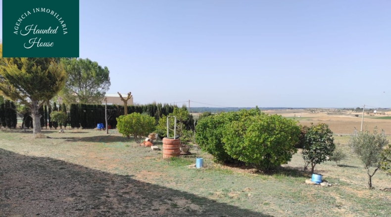 Albacete - Motilleja - 14000m2