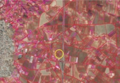 Non-developable land for sale on España, Quintanar del Rey, ref: TR185142 photo