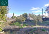Rural estate for sale on España, Albacete, ref: TR204752 photo