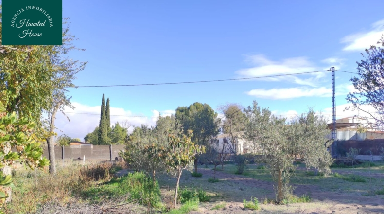 Albacete - Albacete - 150m2
