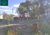 Rural estate for sale on España, Albacete, ref: TR204752 photo