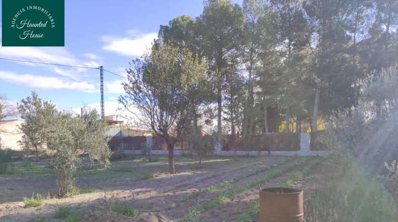 Albacete - Albacete - 150m2