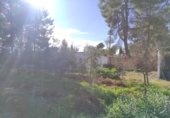 Rural estate for sale on España, Albacete, ref: TR204752 photo