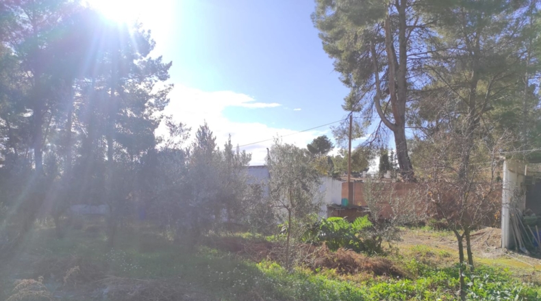 Albacete - Albacete - 150m2