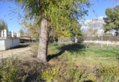 Rural estate for sale on España, Albacete, ref: TR204752 photo