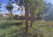 Rural estate for sale on España, Albacete, ref: TR204752 photo