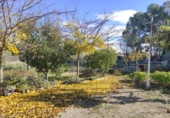 Rural estate for sale on España, Albacete, ref: TR204752 photo