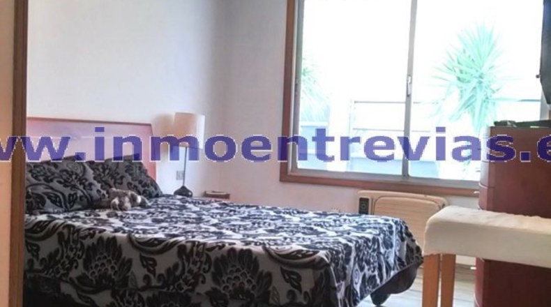 Murcia - Murcia - 1252m2