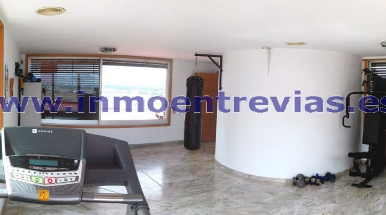 Murcia - Murcia - 1252m2