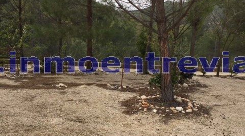 Albacete - Yeste - 12000m2