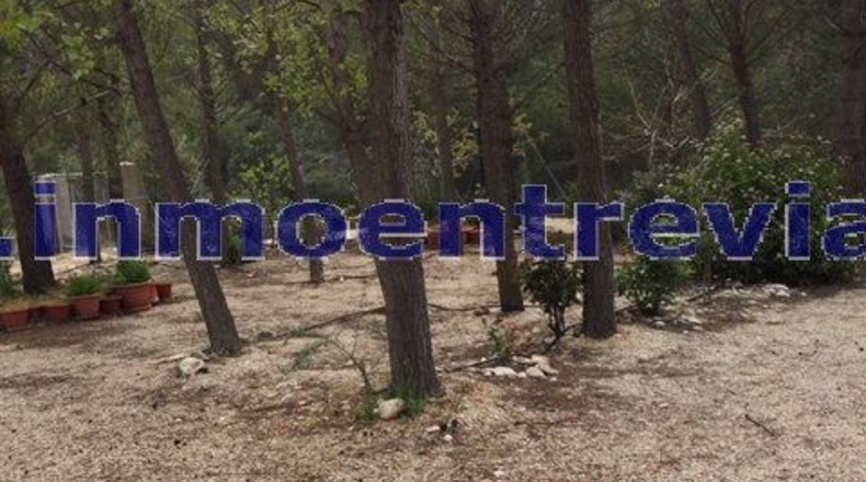 Albacete - Yeste - 12000m2