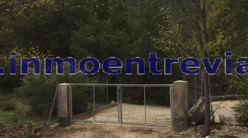 Albacete - Yeste - 12000m2