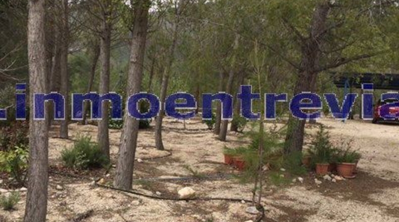 Albacete - Yeste - 12000m2